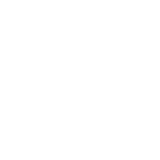 Fun in Motion Toys
