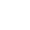 Fun in Motion Toys logo