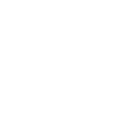 Fun in Motion Toys